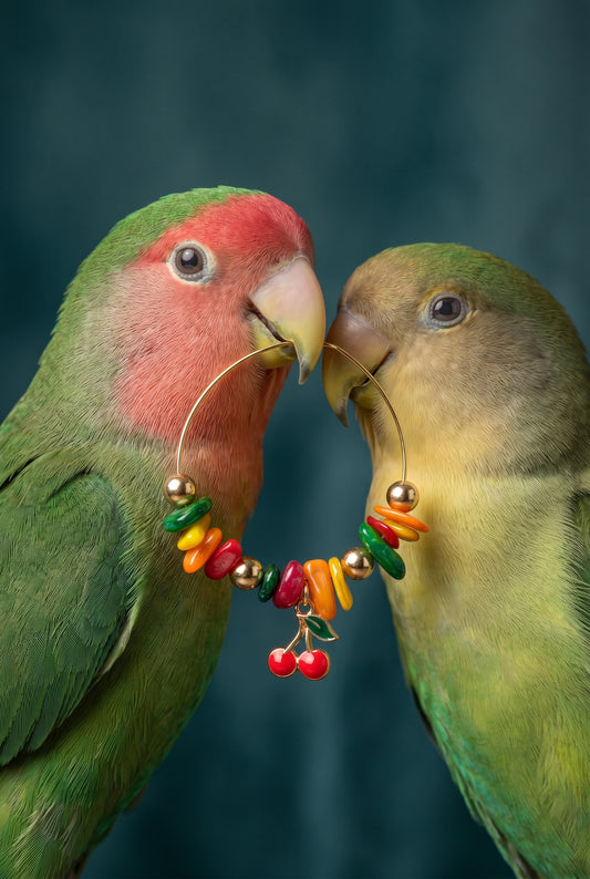 boucles d'oreilles PARROT